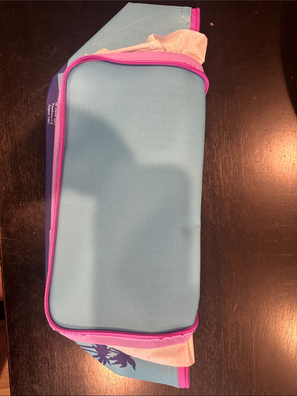Trader Joe's Teal & Purple Mini Insulated Bag